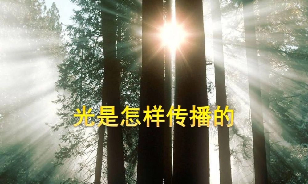 五年级科学上册 2.3《光是怎样传播的》课件（6） 教科版-教科版小学五年级上册自然科学课件