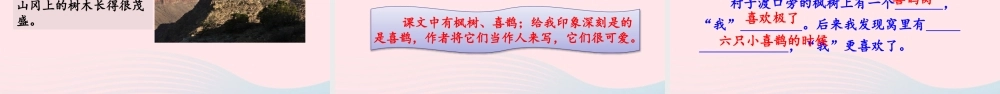 二年级语文下册 课文（三）9《枫树上的喜鹊》教学课件 新人教版-新人教级下册语文课件