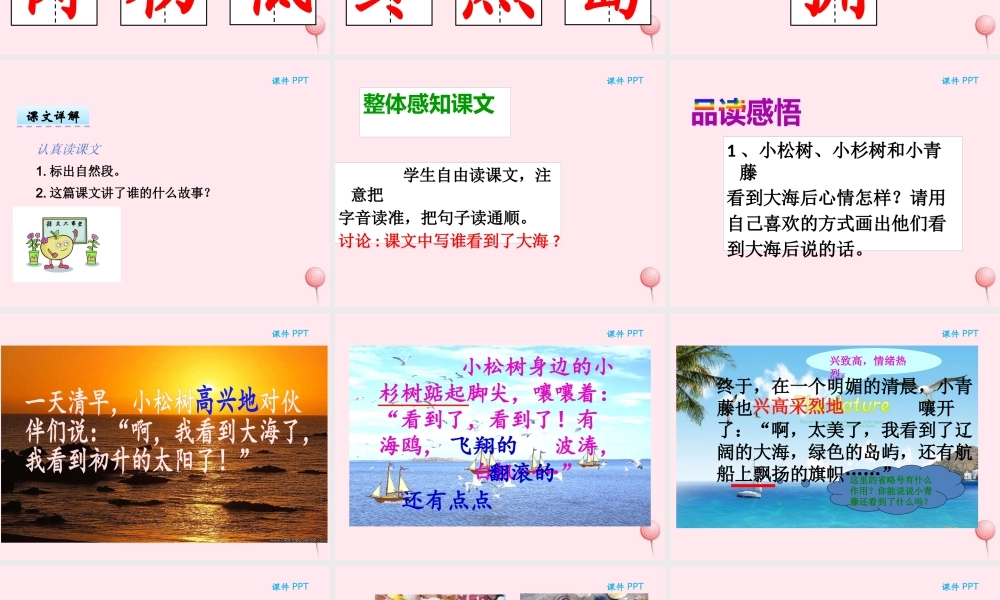 二年级语文下册 第九单元 第23课《松树和青藤》课件 湘教版-湘教版小学二年级下册语文课件