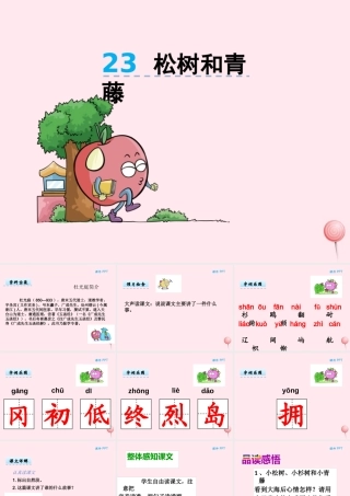 二年级语文下册 第九单元 第23课《松树和青藤》课件 湘教版-湘教版小学二年级下册语文课件