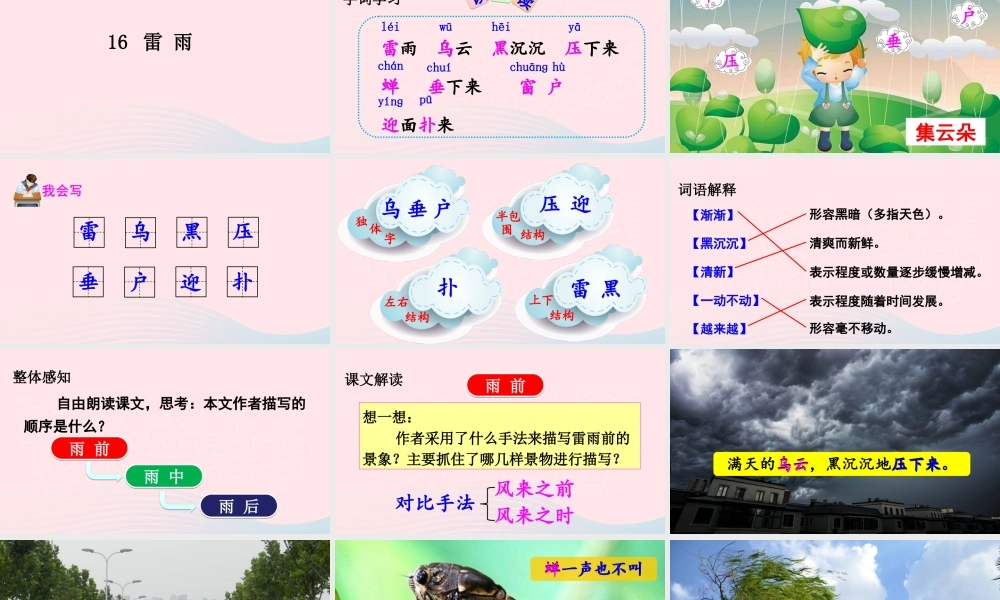 二年级语文下册 课文5 16《雷雨》教学课件 新人教版-新人教版小学二年级下册语文课件