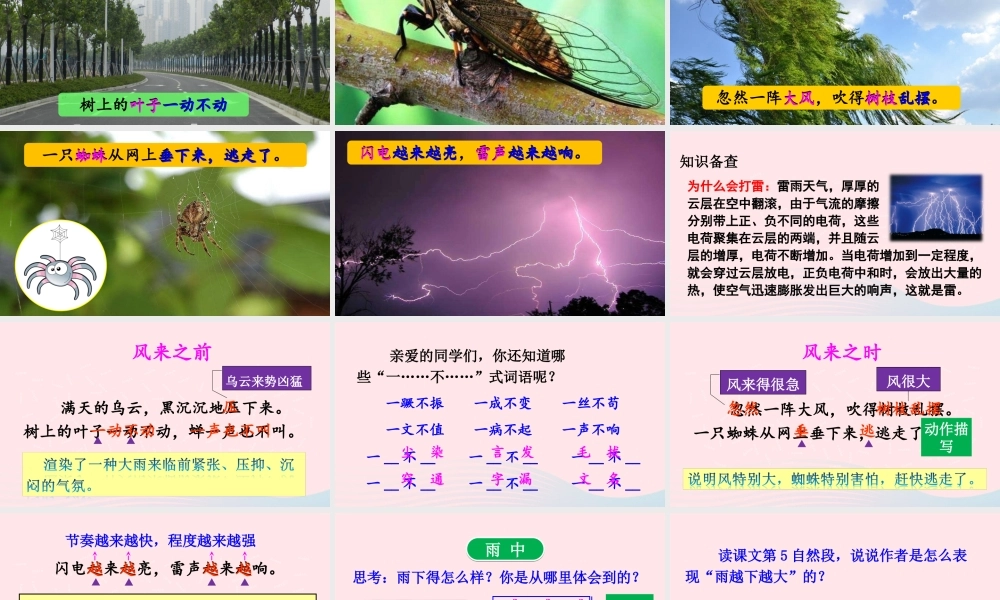 二年级语文下册 课文5 16《雷雨》教学课件 新人教版-新人教版小学二年级下册语文课件