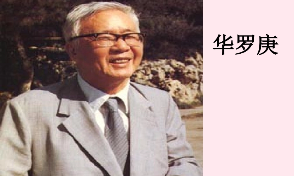 二年级语文下册 第六单元 第22课《回自己的祖国去》课件1 语文S版-语文S版小学二年级下册语文课件