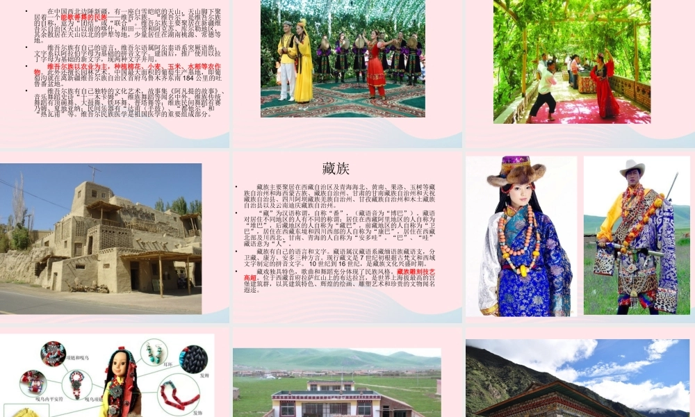 二年级语文下册 第六单元 第23课《家》课件1 语文S版-语文S版小学二年级下册语文课件