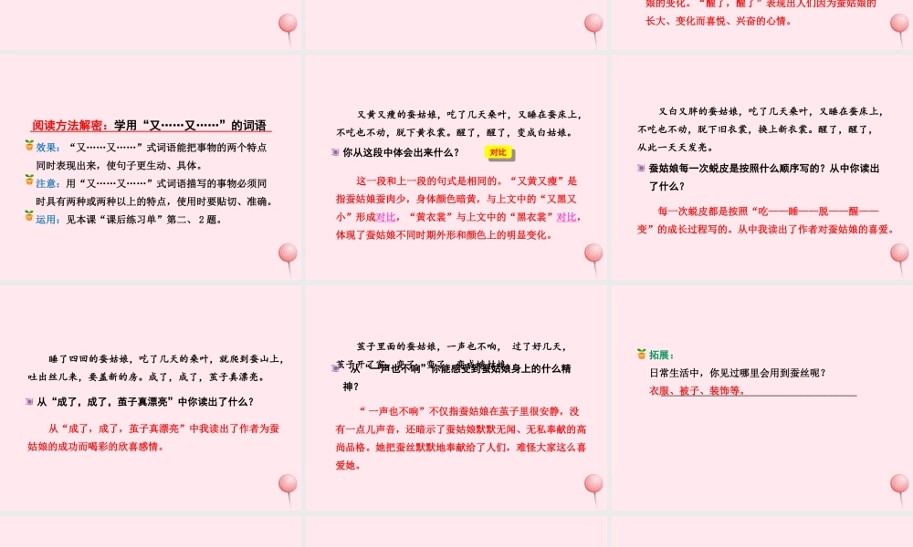 二年级语文下册 课文1 第2课《蚕姑娘》（第2课时）课件 苏教版-苏教版小学二年级下册语文课件