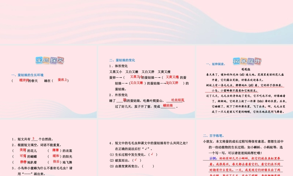 二年级语文下册 课文1 第2课《蚕姑娘》习题课件 苏教版（B组-提升篇）课件