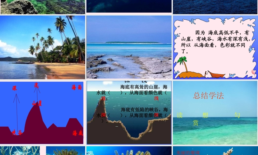 二年级语文下册 第六单元 第25课《可爱的西沙群岛》课件1 语文S版-语文S版小学二年级下册语文课件