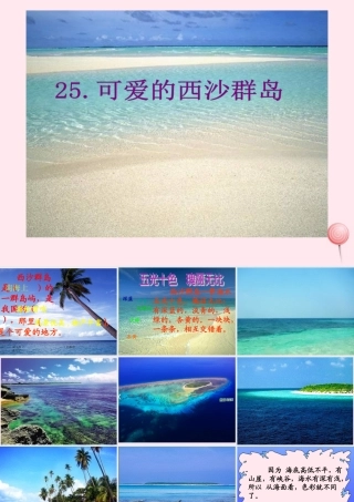 二年级语文下册 第六单元 第25课《可爱的西沙群岛》课件1 语文S版-语文S版小学二年级下册语文课件