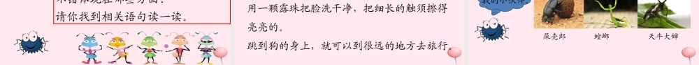 二年级语文下册 课文3 11 我是一只小虫子课堂教学课件 新人教版-新人教版小学二年级下册语文课件