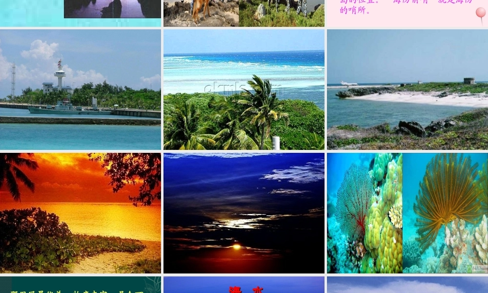 二年级语文下册 第六单元 第25课《可爱的西沙群岛》课件2 语文S版-语文S版小学二年级下册语文课件