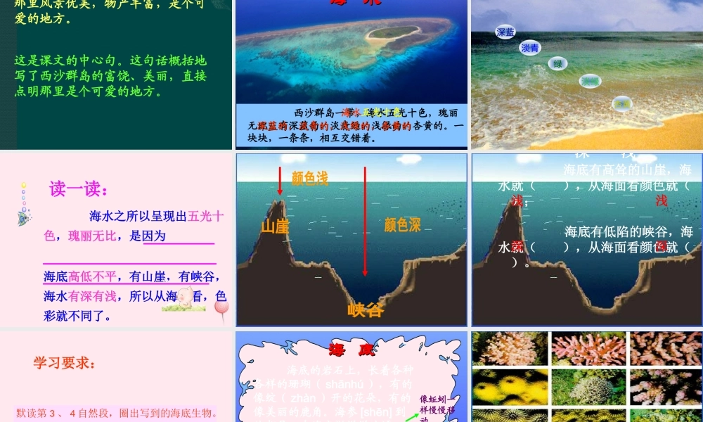 二年级语文下册 第六单元 第25课《可爱的西沙群岛》课件2 语文S版-语文S版小学二年级下册语文课件