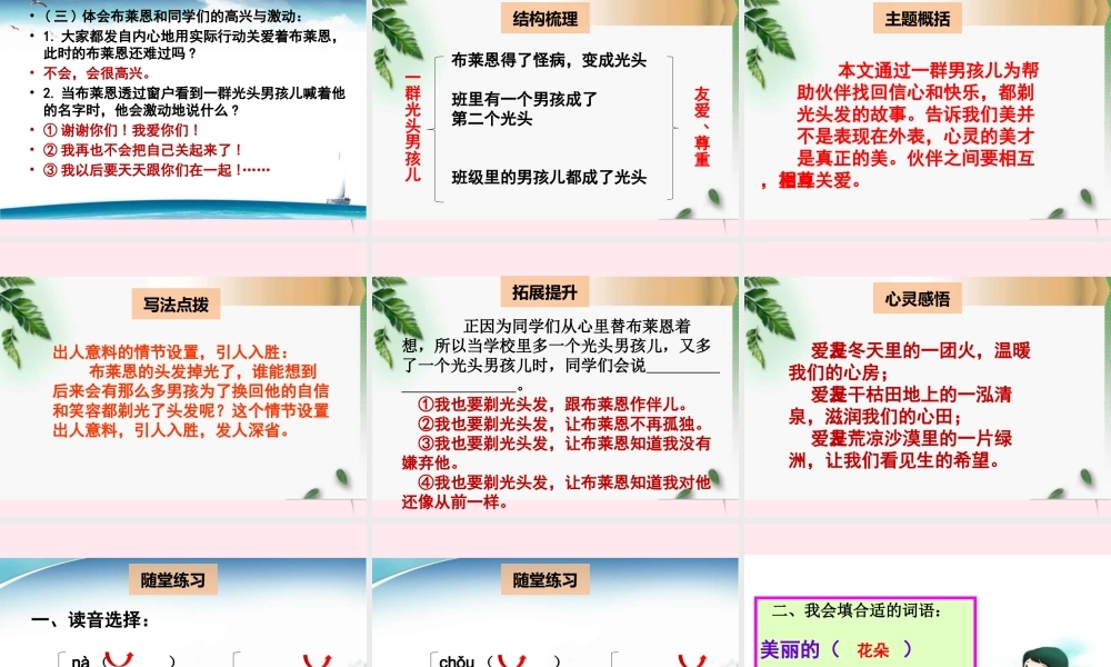 二年级语文下册 阅读八 第15课《一群光头男孩儿》课件 教科版-教科版小学二年级下册语文课件