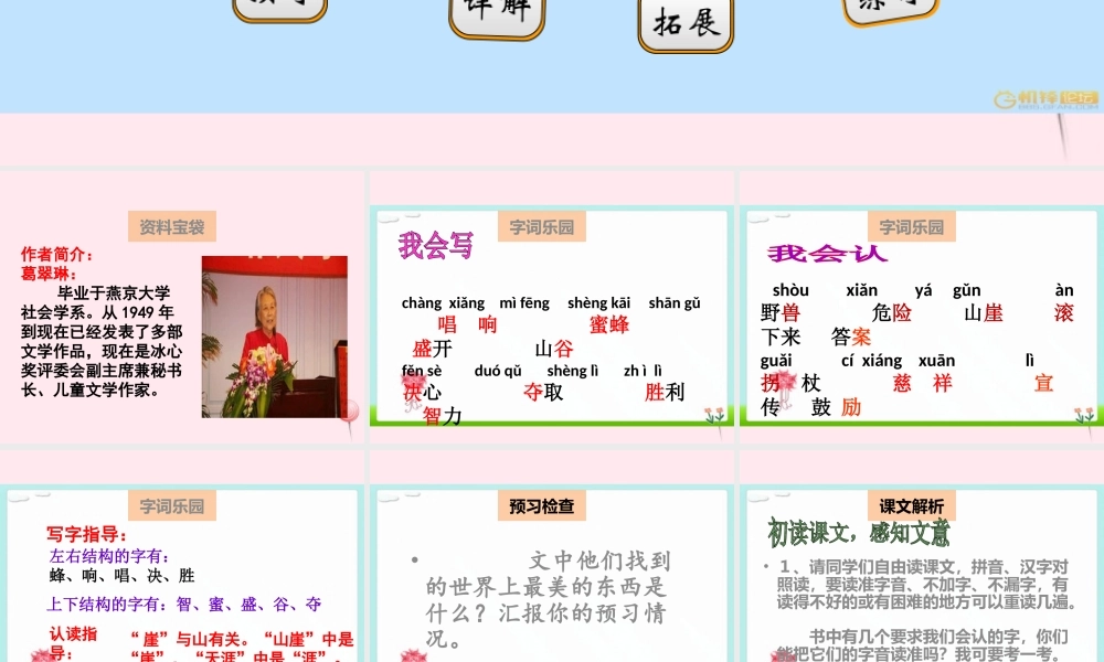 二年级语文下册 阅读八 第16课《世界上最美的是什么》课件 教科版-教科版小学二年级下册语文课件