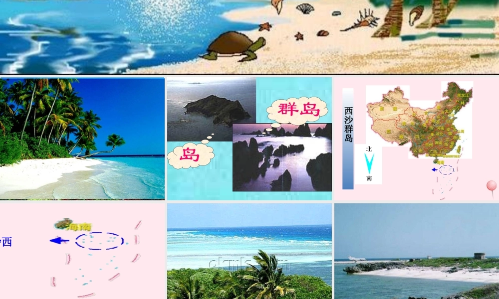 二年级语文下册 第六单元 第25课《可爱的西沙群岛》课件3 语文S版-语文S版小学二年级下册语文课件