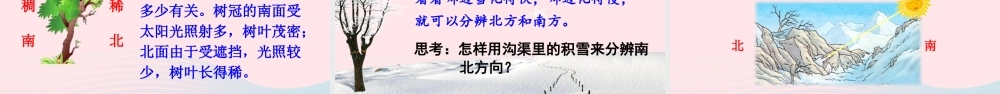 二年级语文下册 课文5 17《要是你在野外迷了路》教学课件 新人教版-新人教版小学二年级下册语文课件