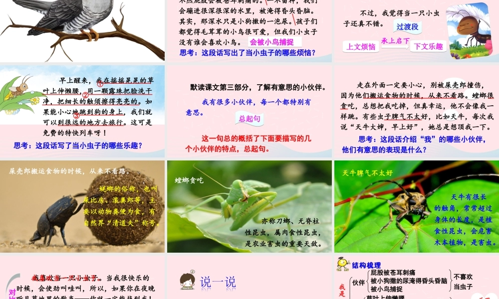 二年级语文下册 课文3 11《我是一只小虫子》教学课件 新人教版-新人教版小学二年级下册语文课件