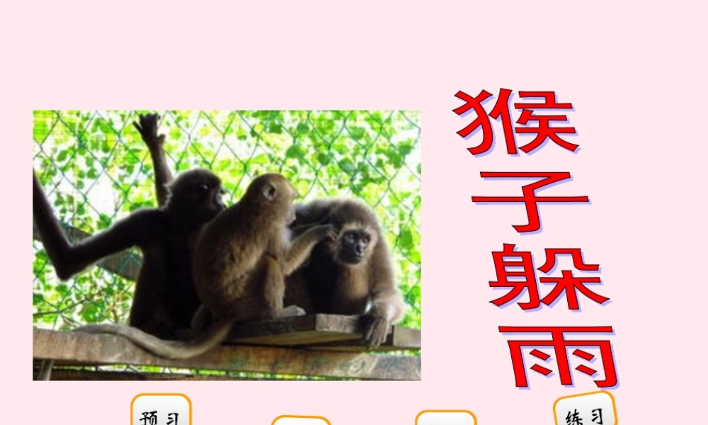 二年级语文下册 阅读二 第4课《猴子躲雨》课件 教科版-教科版小学二年级下册语文课件