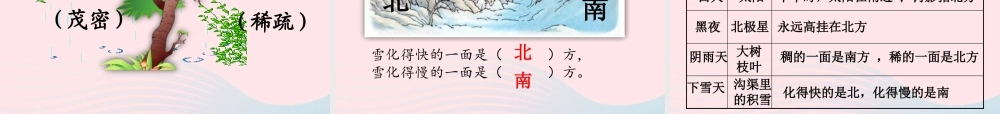 二年级语文下册 课文5 17《要是你在野外迷了路》教学课件 新人教版-新人教级下册语文课件