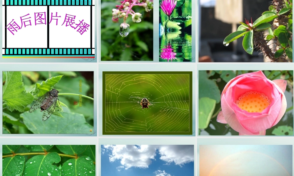 二年级语文下册 第六单元 课文5 16 雷雨教学课件 新人教版-新人教版小学二年级下册语文课件