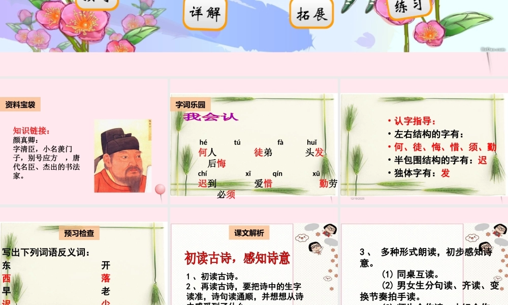 二年级语文下册 阅读九《古诗三首》课件 教科版-教科版小学二年级下册语文课件