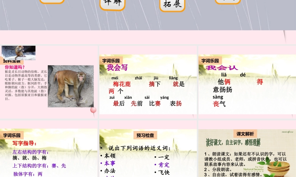 二年级语文下册 阅读六 第11课《比本领》课件 教科版-教科版小学二年级下册语文课件