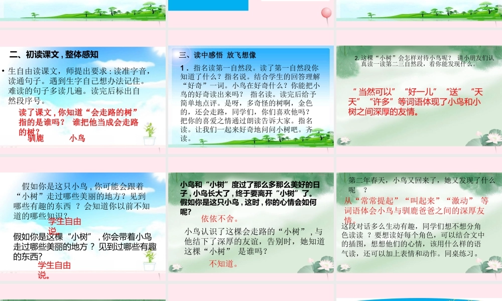 二年级语文下册 阅读六 第12课《会走路的树》课件 教科版-教科版小学二年级下册语文课件