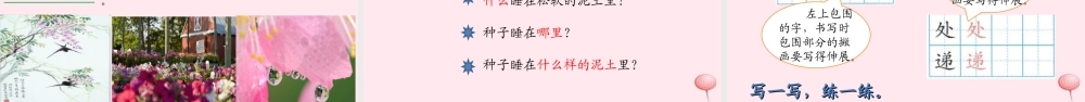 二年级语文下册 课文1 语文园地一课堂教学课件 新人教版-新人教版小学二年级下册语文课件