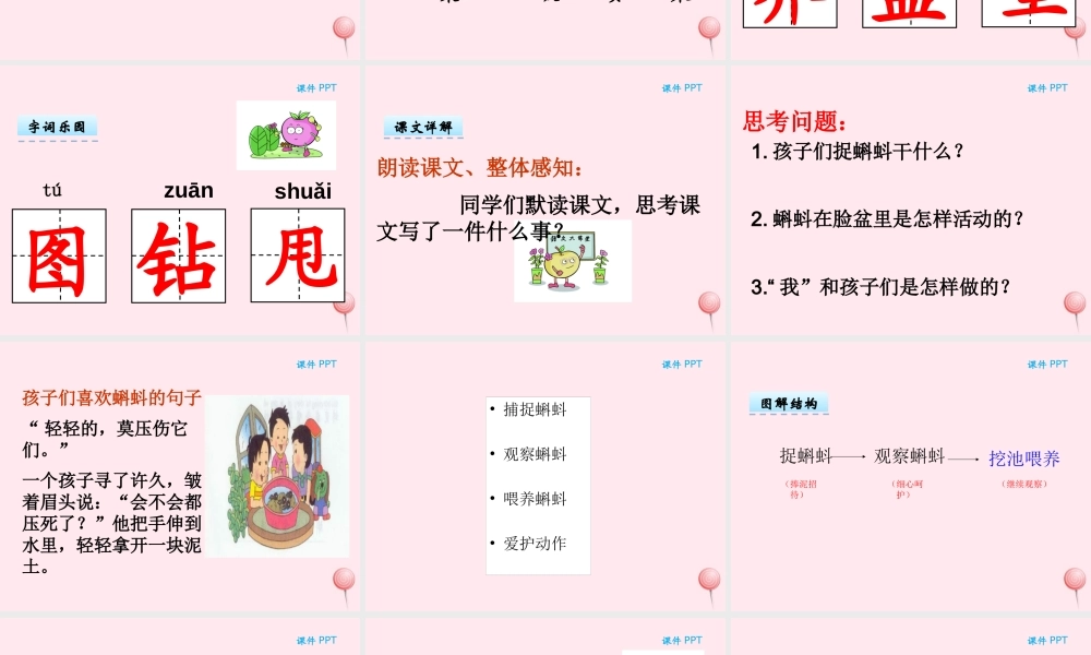 二年级语文下册 第七单元 第16课《小蝌蚪》课件 湘教版-湘教版小学二年级下册语文课件