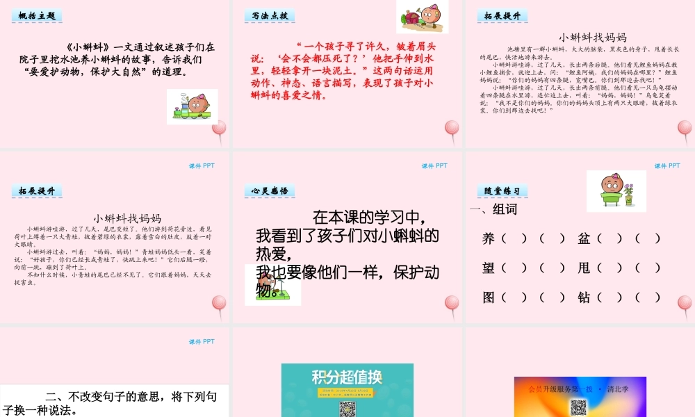 二年级语文下册 第七单元 第16课《小蝌蚪》课件 湘教版-湘教版小学二年级下册语文课件