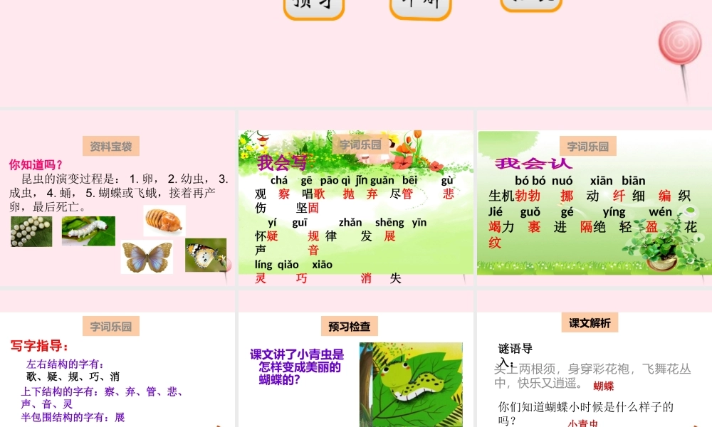 二年级语文下册 阅读七 第13课《小青虫》课件 教科版-教科版小学二年级下册语文课件