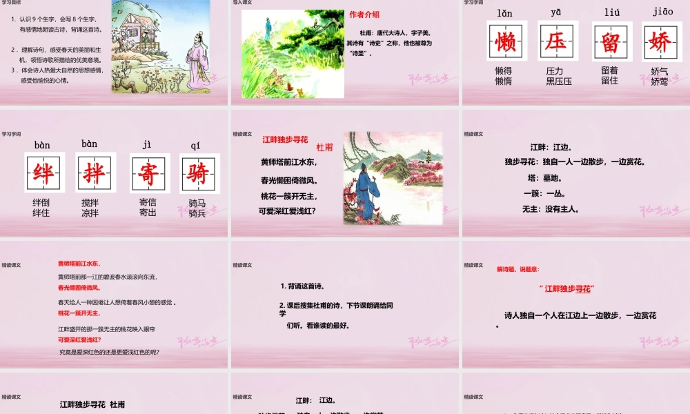 二年级语文下册 课文3 15 江畔独步寻花课件 西师大版-西师大版小学二年级下册语文课件