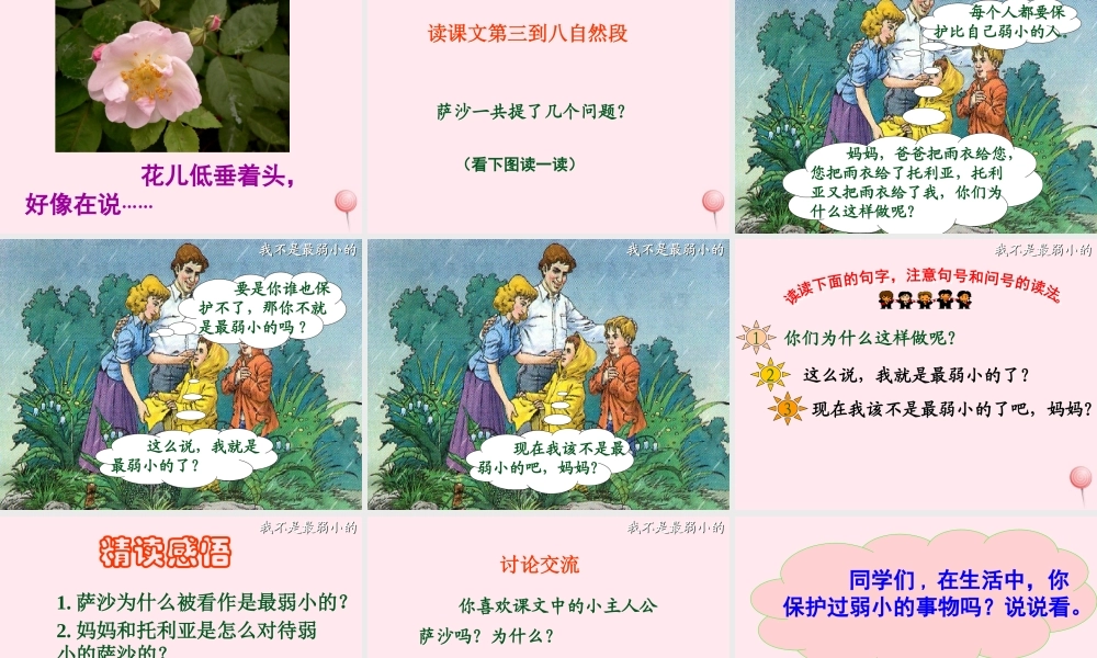 二年级语文下册 第七单元 第24课《我不是最弱小的》课件 冀教版-冀教版小学二年级下册语文课件