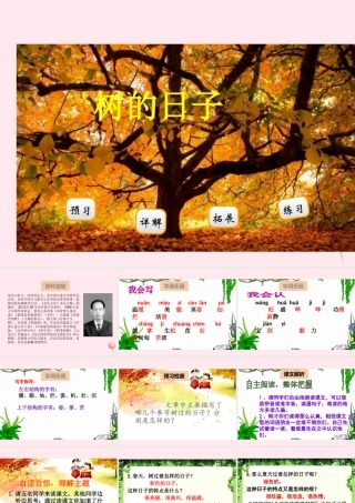 二年级语文下册 阅读七 第14课《树的日子》课件 教科版-教科版小学二年级下册语文课件