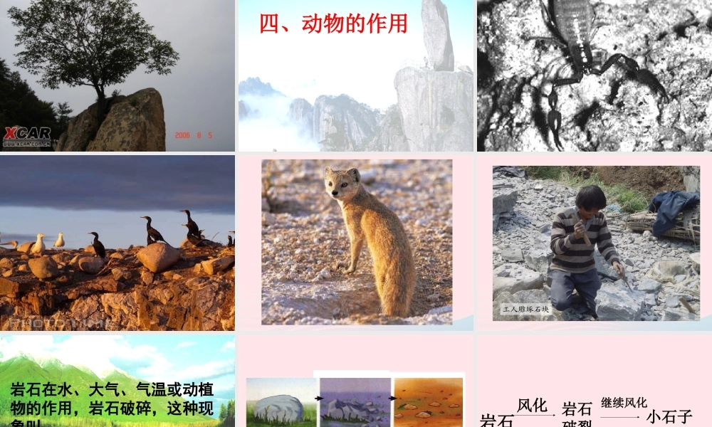 五年级科学上册 3.3《坚硬的岩石会改变模样吗》课件（1） 教科版-教科版小学五年级上册自然科学课件