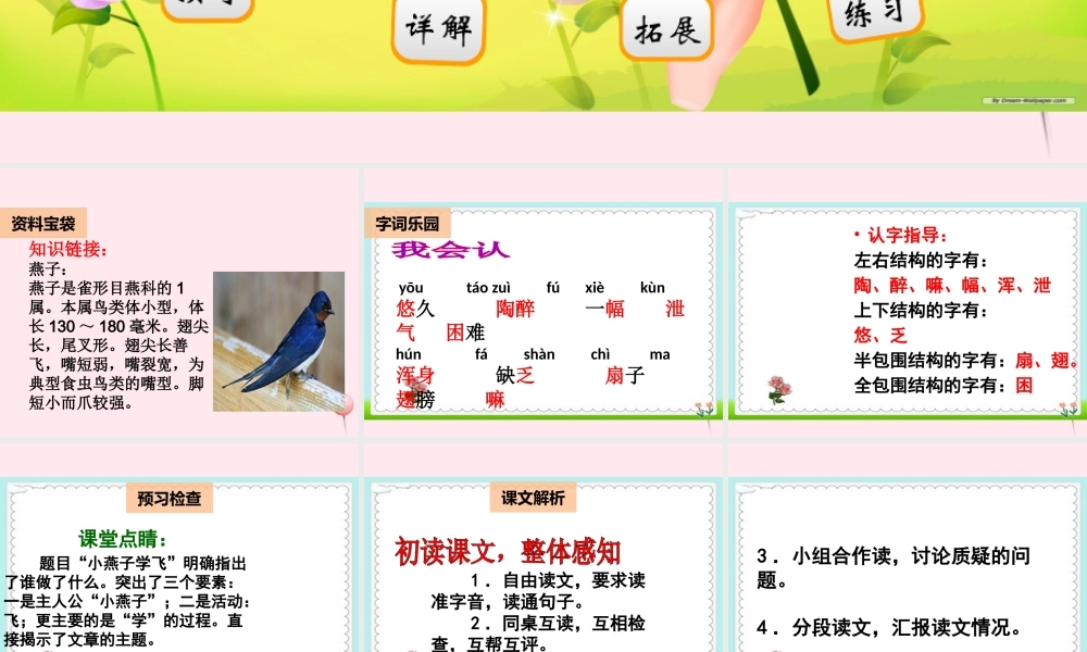 二年级语文下册 阅读七《小燕子学飞》课件 教科版-教科版小学二年级下册语文课件