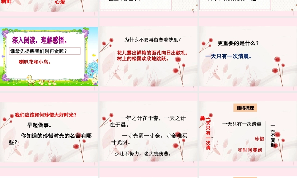 二年级语文下册 阅读七《一天只有一次清晨》课件 教科版-教科版小学二年级下册语文课件