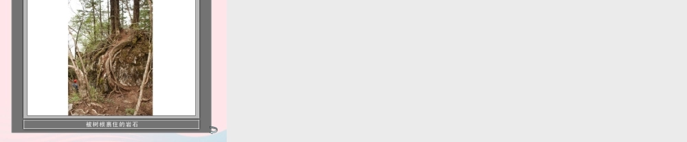 五年级科学上册 3.3《坚硬的岩石会改变模样吗》课件（3） 教科版-教科版小学五年级上册自然科学课件