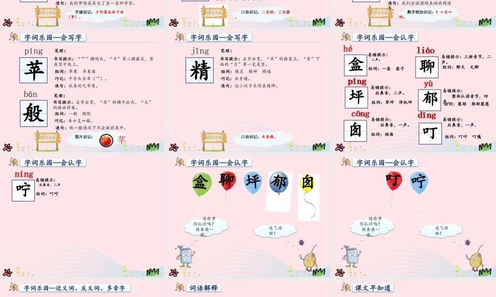 二年级语文下册 课文3 第8课《彩色的梦》课件1 新人教版-新人教版小学二年级下册语文课件