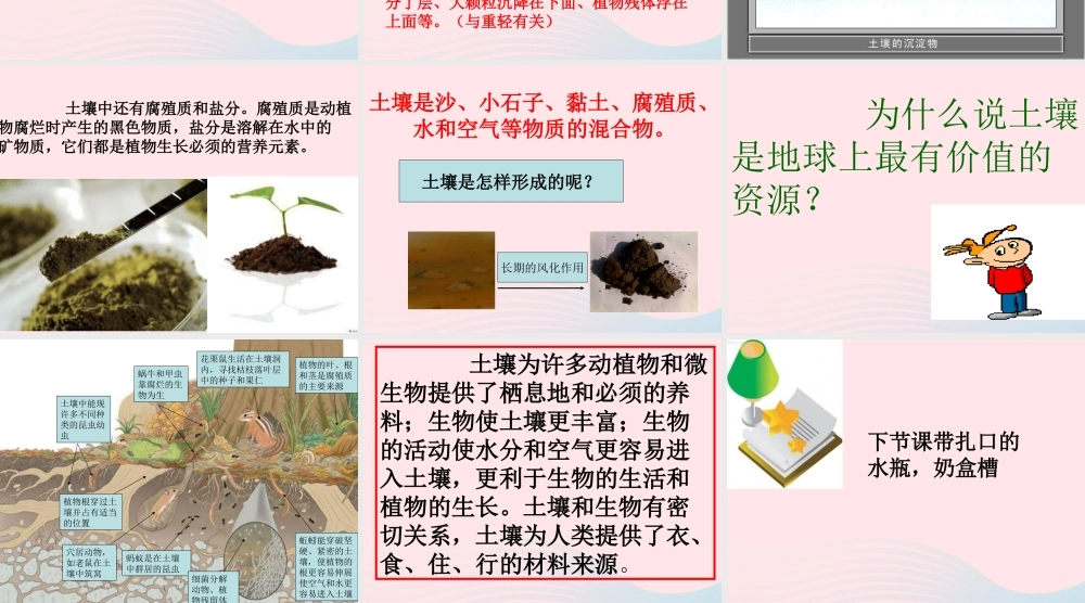 五年级科学上册 3.4《土壤中有什么》课件（1） 教科版-教科版小学五年级上册自然科学课件