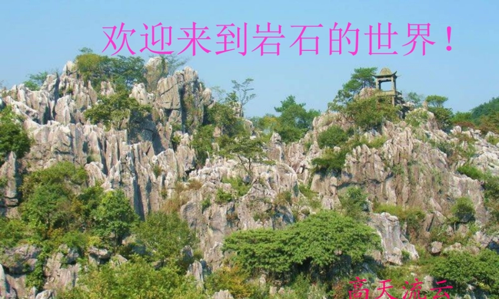 五年级科学上册 3.4《土壤中有什么》课件（2） 教科版-教科版小学五年级上册自然科学课件