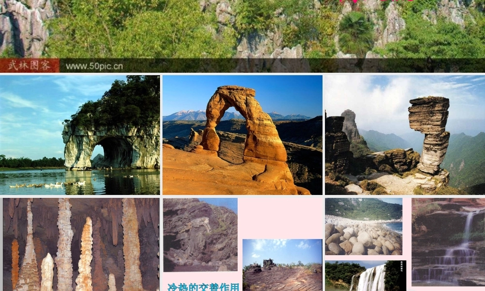 五年级科学上册 3.4《土壤中有什么》课件（2） 教科版-教科版小学五年级上册自然科学课件