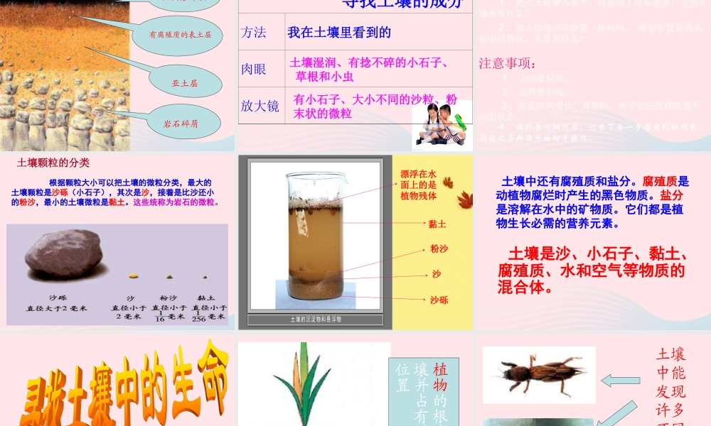 五年级科学上册 3.4《土壤中有什么》课件（2） 教科版-教科版小学五年级上册自然科学课件