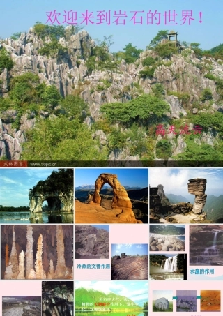 五年级科学上册 3.4《土壤中有什么》课件（2） 教科版-教科版小学五年级上册自然科学课件