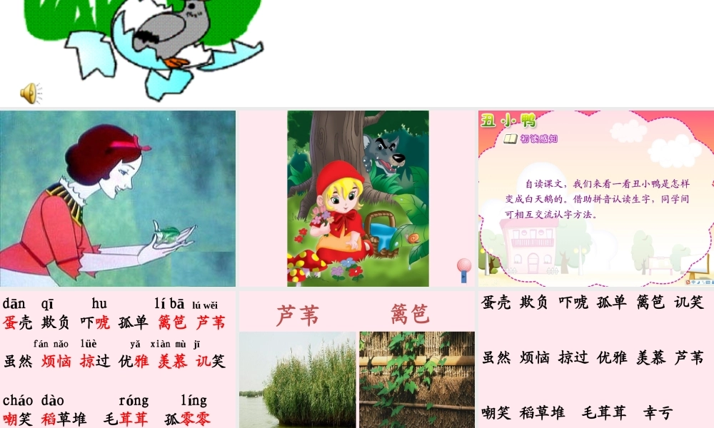 二年级语文下册 课文5 第13课《丑小鸭》课件 鄂教版-鄂教版小学二年级下册语文课件