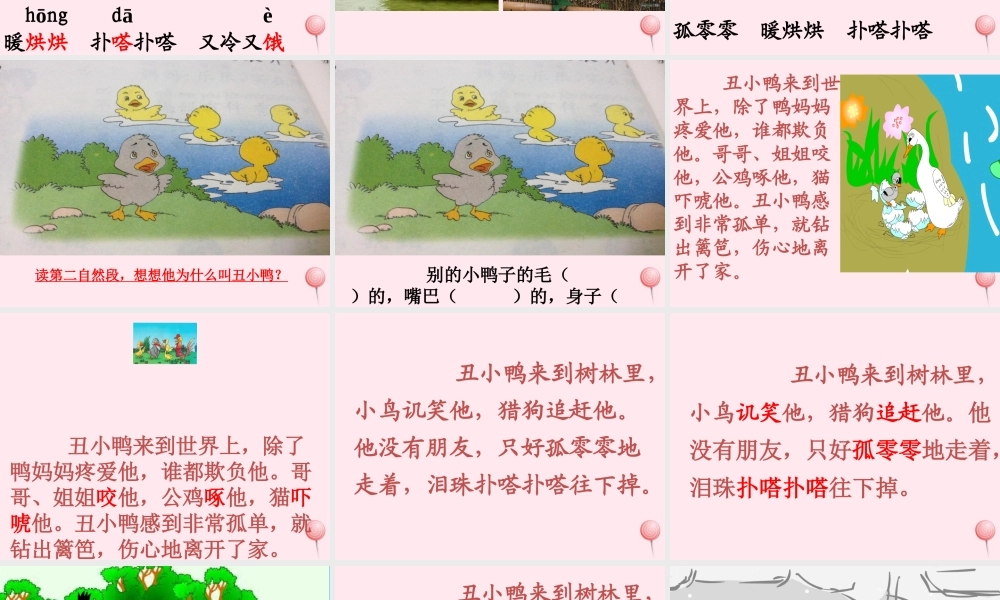 二年级语文下册 课文5 第13课《丑小鸭》课件 鄂教版-鄂教版小学二年级下册语文课件
