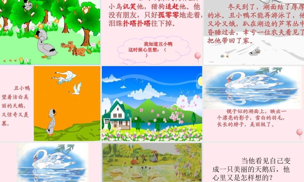 二年级语文下册 课文5 第13课《丑小鸭》课件 鄂教版-鄂教版小学二年级下册语文课件