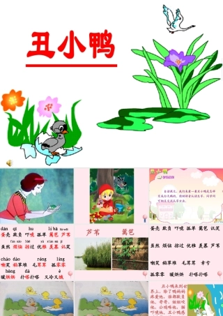 二年级语文下册 课文5 第13课《丑小鸭》课件 鄂教版-鄂教版小学二年级下册语文课件