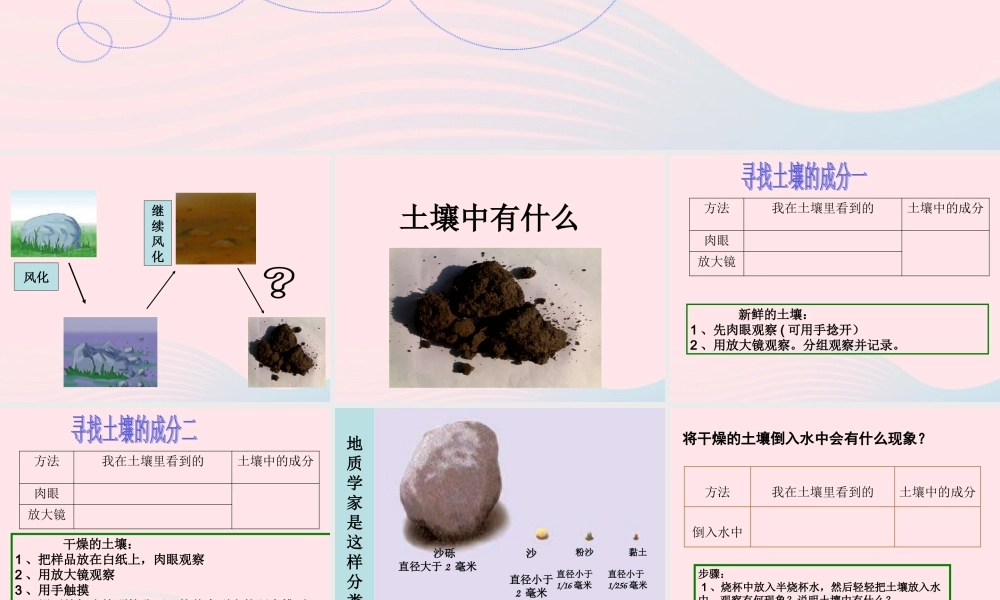 五年级科学上册 3.4《土壤中有什么》课件（3） 教科版-教科版小学五年级上册自然科学课件