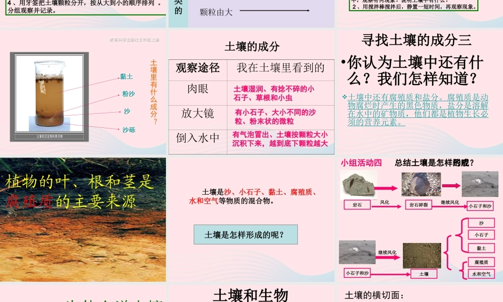 五年级科学上册 3.4《土壤中有什么》课件（3） 教科版-教科版小学五年级上册自然科学课件
