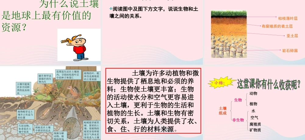 五年级科学上册 3.4《土壤中有什么》课件（3） 教科版-教科版小学五年级上册自然科学课件